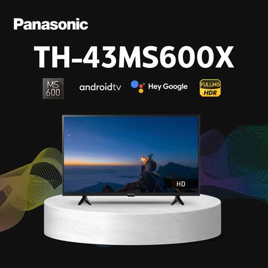 TH-43MS600X